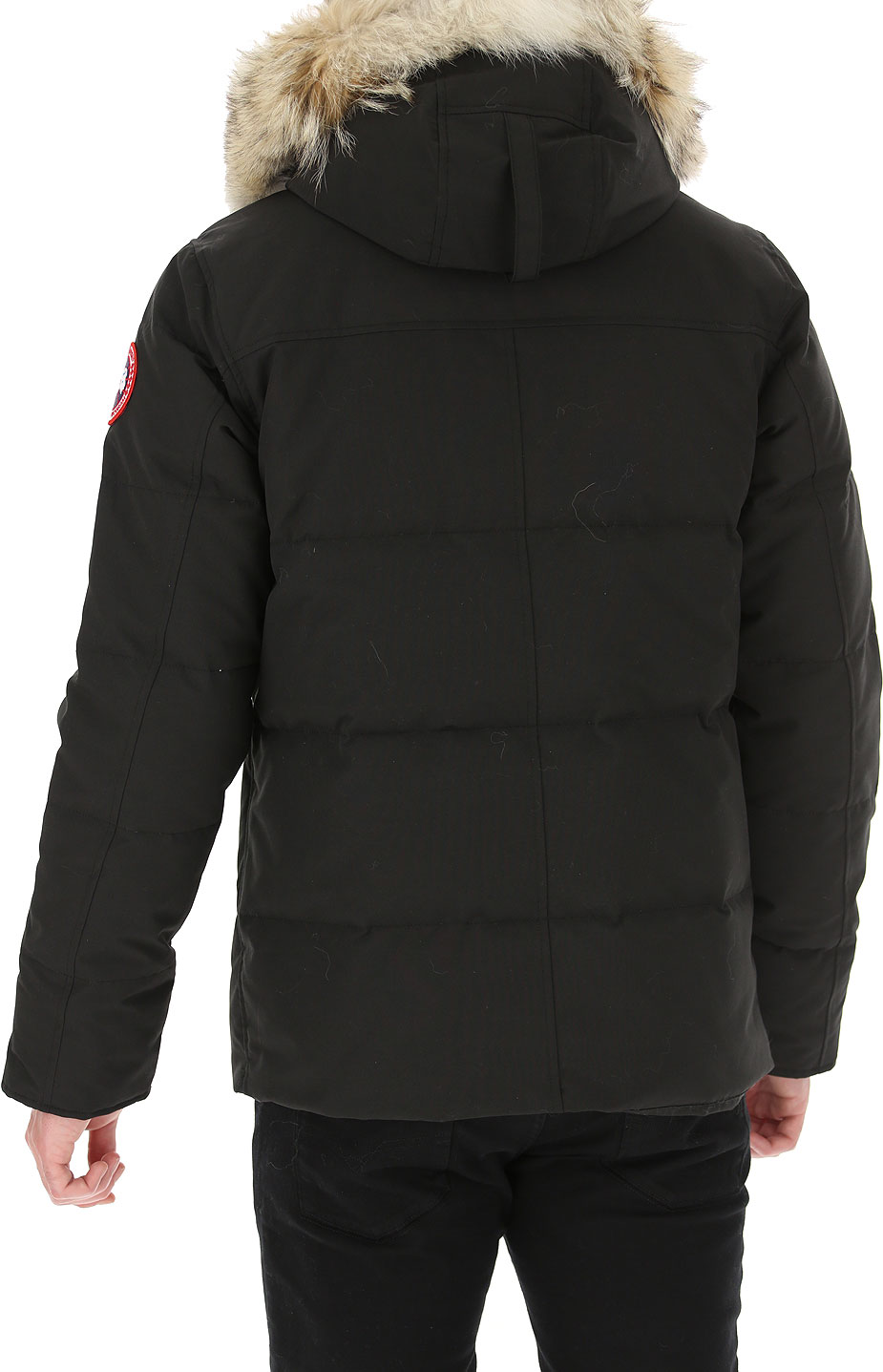 Mens Clothing Canada Goose, Style code: 3808m-61-