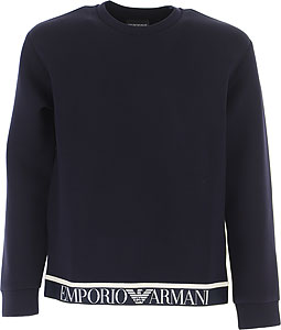 Emporio Armani Sweatshirts for Men ï¿½ Hooded and Crew Neck | Raffaello