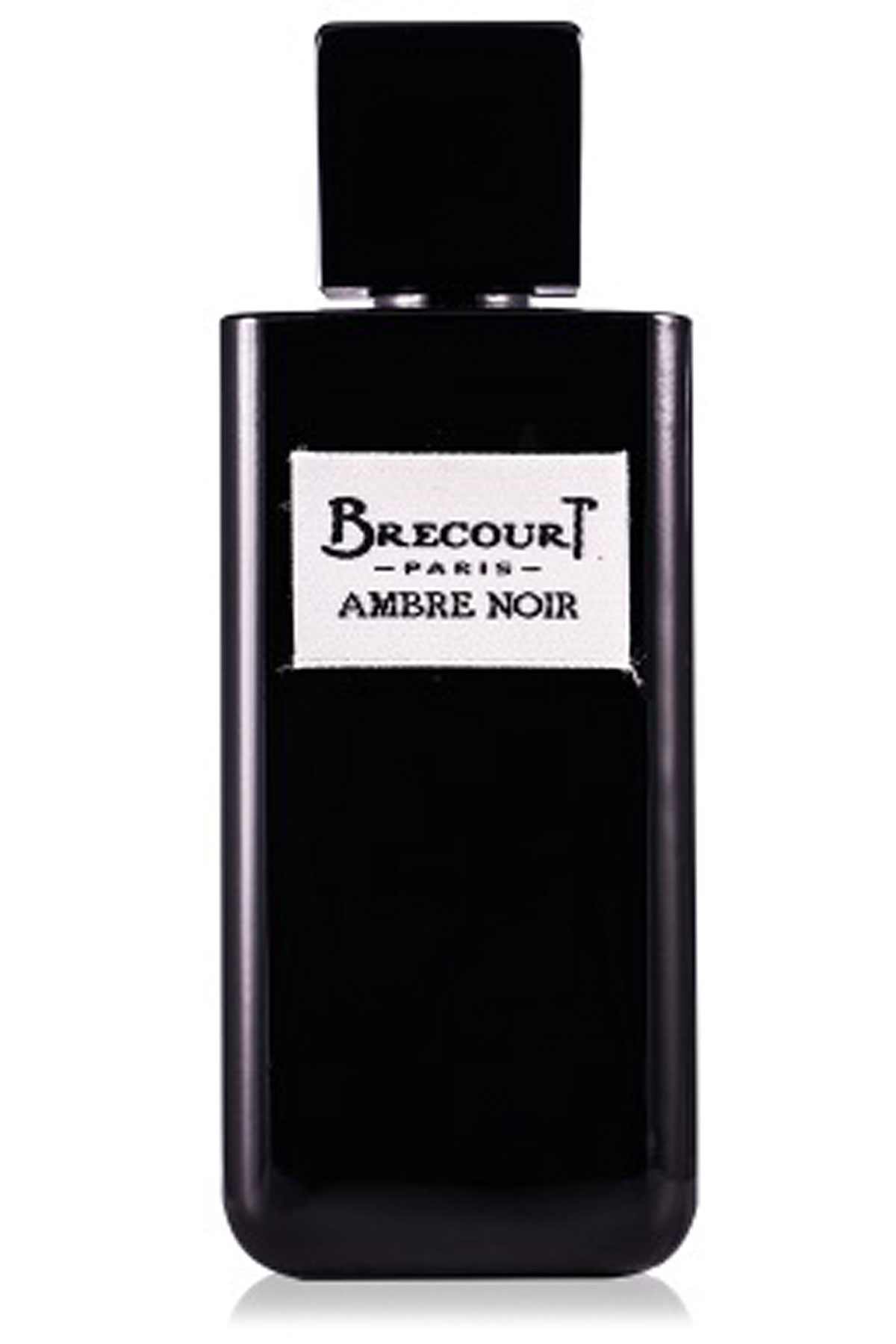 Ambre Noir Parfum | ubicaciondepersonas.cdmx.gob.mx